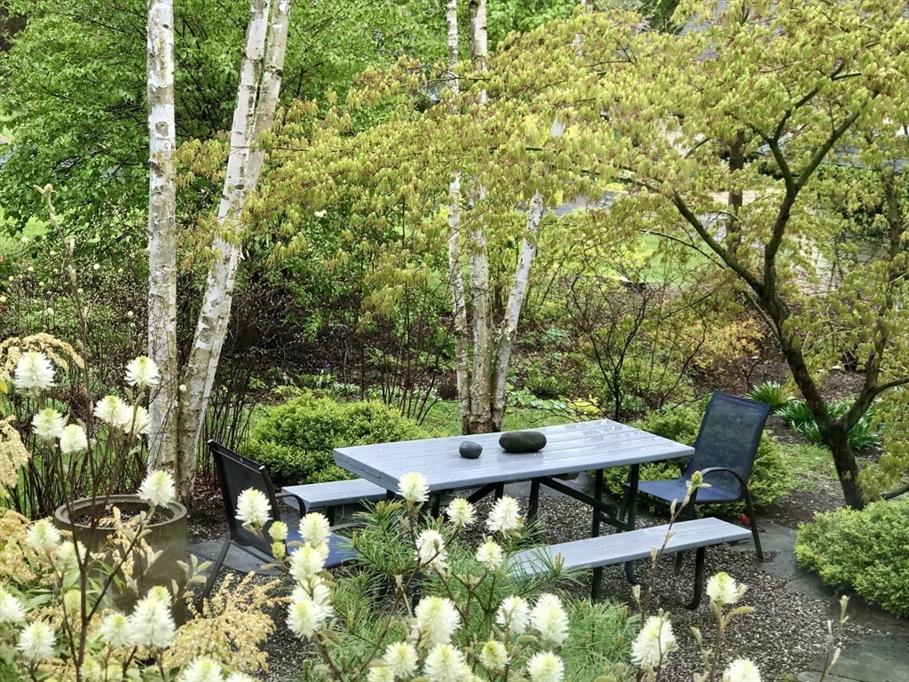 16 South Sunset Avenue Amherst, MA 01002 - Photo 27 of 42 a backyard of a house with table and chairs under an umbrella