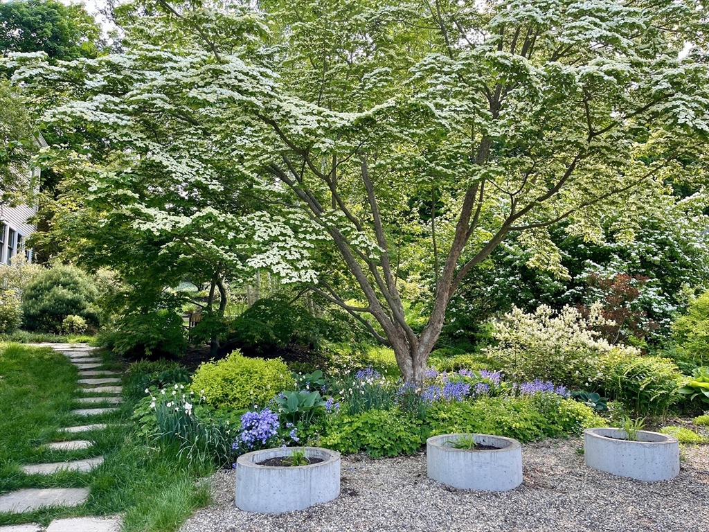 16 South Sunset Avenue Amherst, MA 01002 - Photo 34 of 42 a view of a garden with potted plants