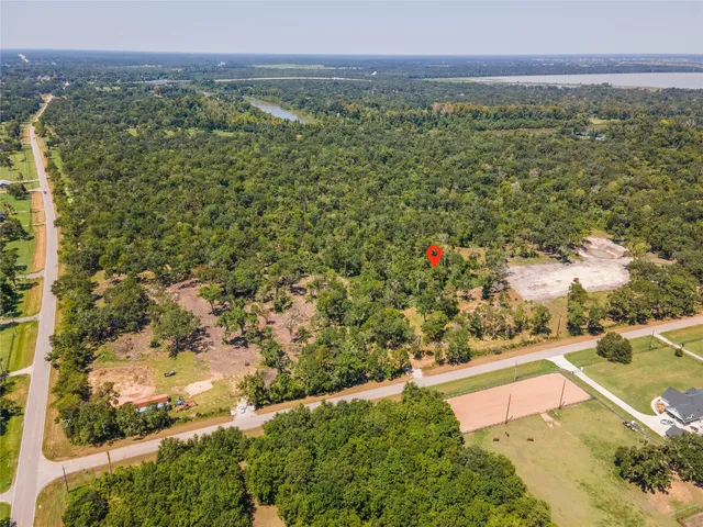 a view of a garden with a tree
