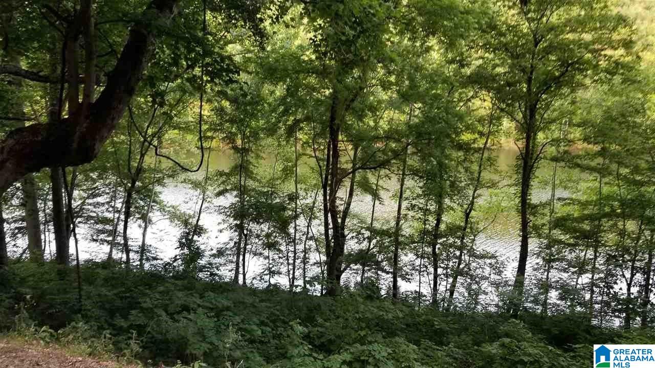 111 Old Baker Gap Road Boaz, AL 35956 - Photo 35 of 38