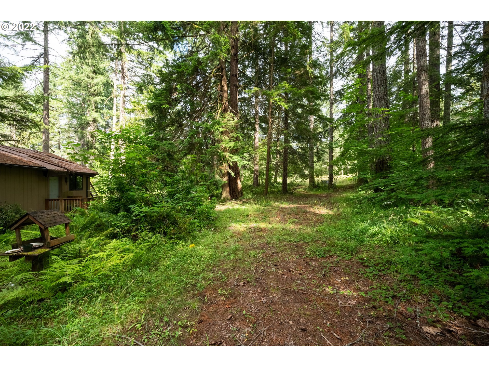30665 South Partridge Road Colton, OR 97017 - Photo 16 of 20 a view of outdoor space and yard