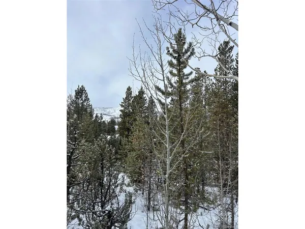 $195,000 | 114 Mustang Trail, Grand Lake, CO 80447