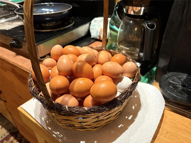 a view of a backyard with large trees