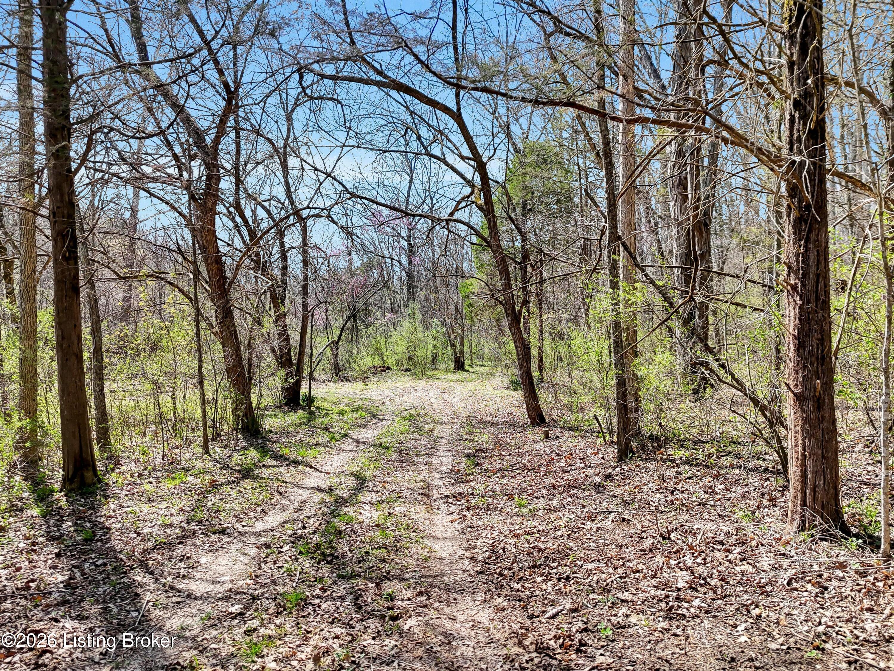 2300 Springvale Circle Pendleton, KY 40055 - Photo 8 of 12 14-2300 Springvale Cir