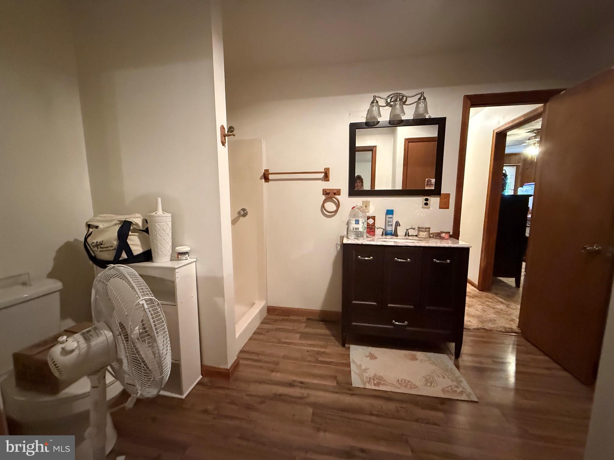 1492 Dice Warner Road Circleville, WV 26804 - Photo 26 of 36 Spacious bathroom with modern touches.