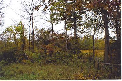 South Allen Road Reading, MI 49274 - Photo 1 of 6 Primary Photo