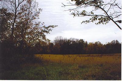 South Allen Road Reading, MI 49274 - Photo 2 of 6 Additional Photo