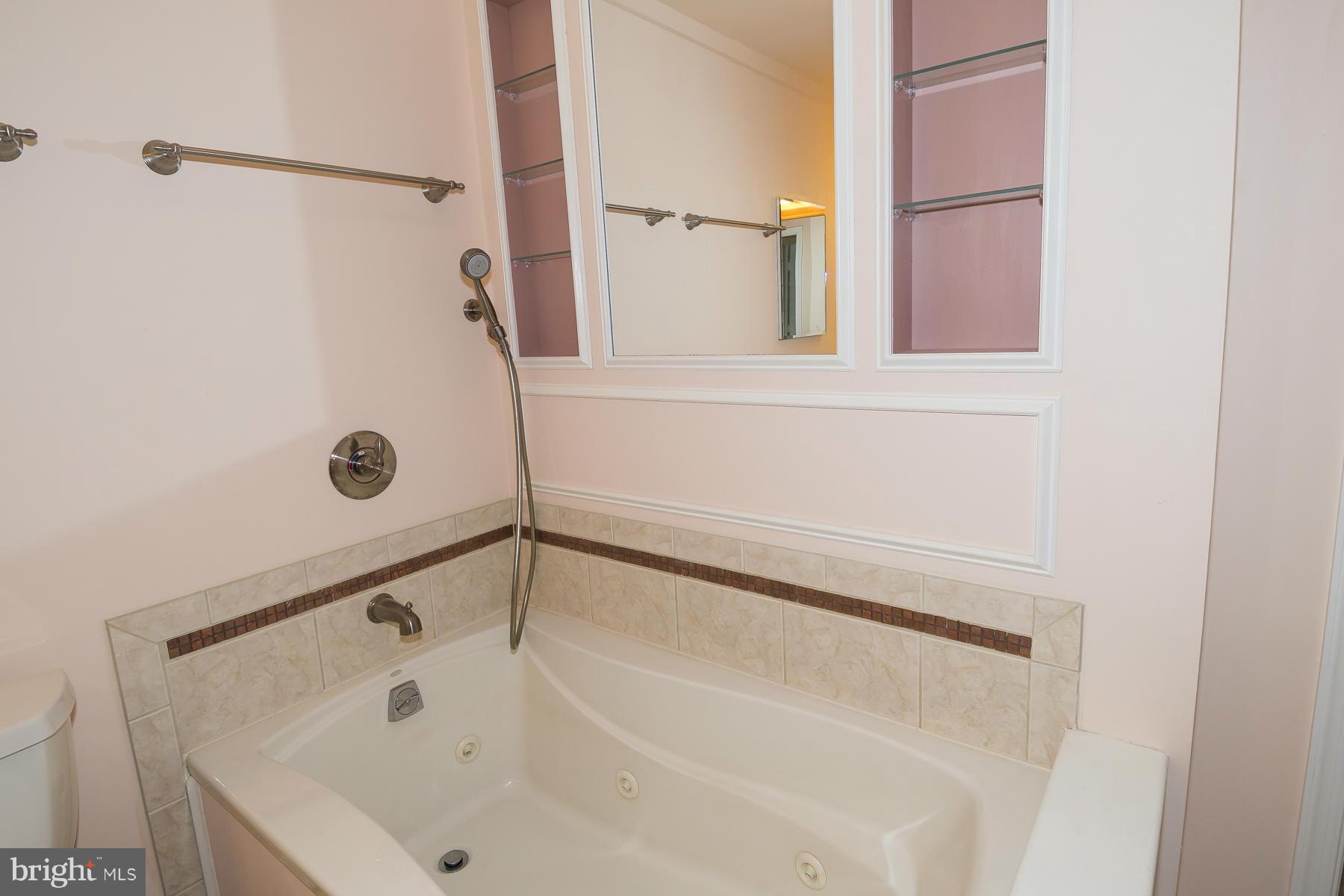 5611 Vantage Point Road Columbia, MD 21044 - Photo 16 of 28 Spa appointments in glorious master/mistress bath