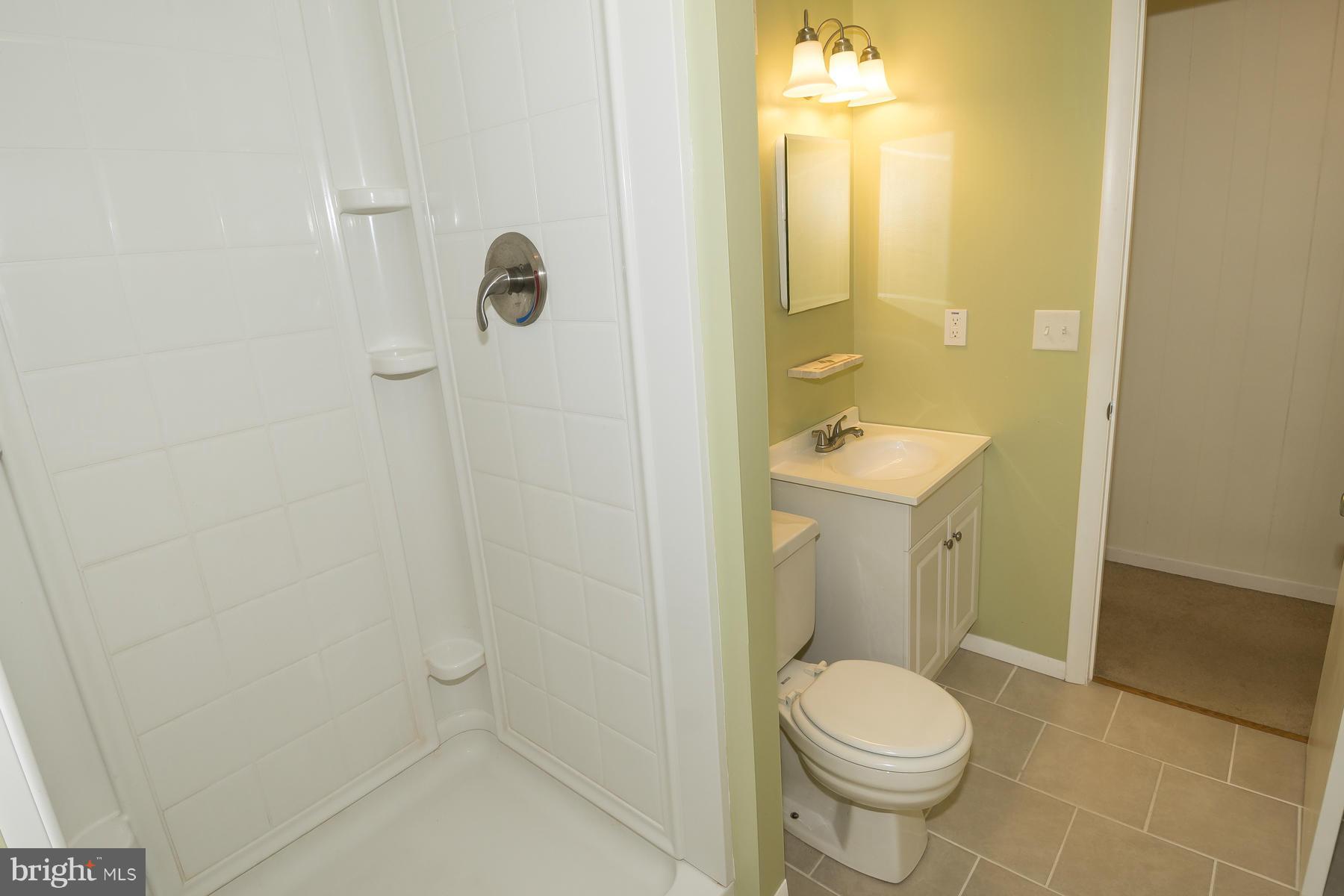 5611 Vantage Point Road Columbia, MD 21044 - Photo 20 of 28 Lower Level Full bath with shower