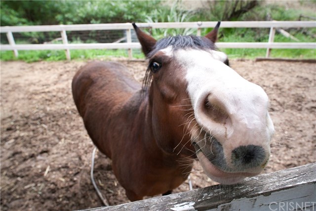 21 Hackamore Lane Bell Canyon, CA 91307 - Photo 40 of 40