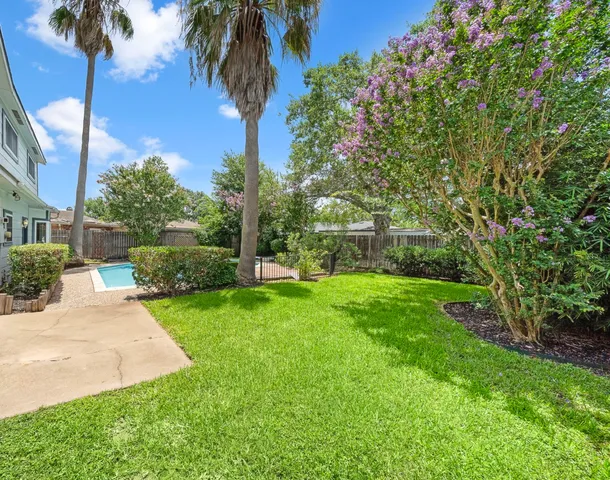 a view of a swimming pool with a plants