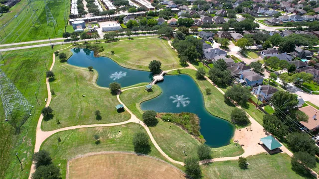 a view of a yard with a palm tree