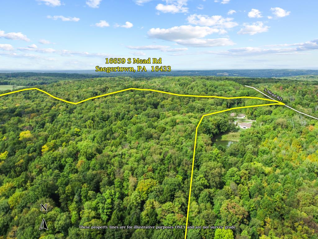 16659 South Mead Road Saegertown, PA 16433 - Photo 26 of 37
