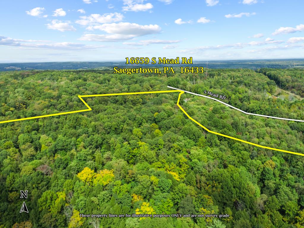 16659 South Mead Road Saegertown, PA 16433 - Photo 28 of 37