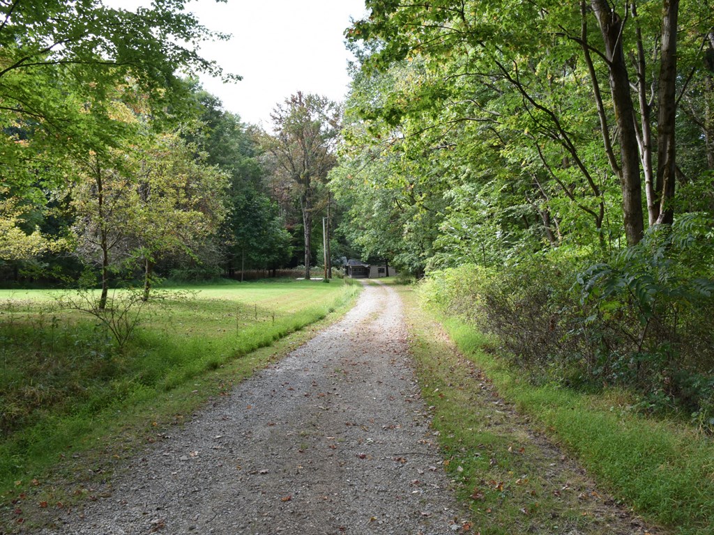16659 South Mead Road Saegertown, PA 16433 - Photo 7 of 37