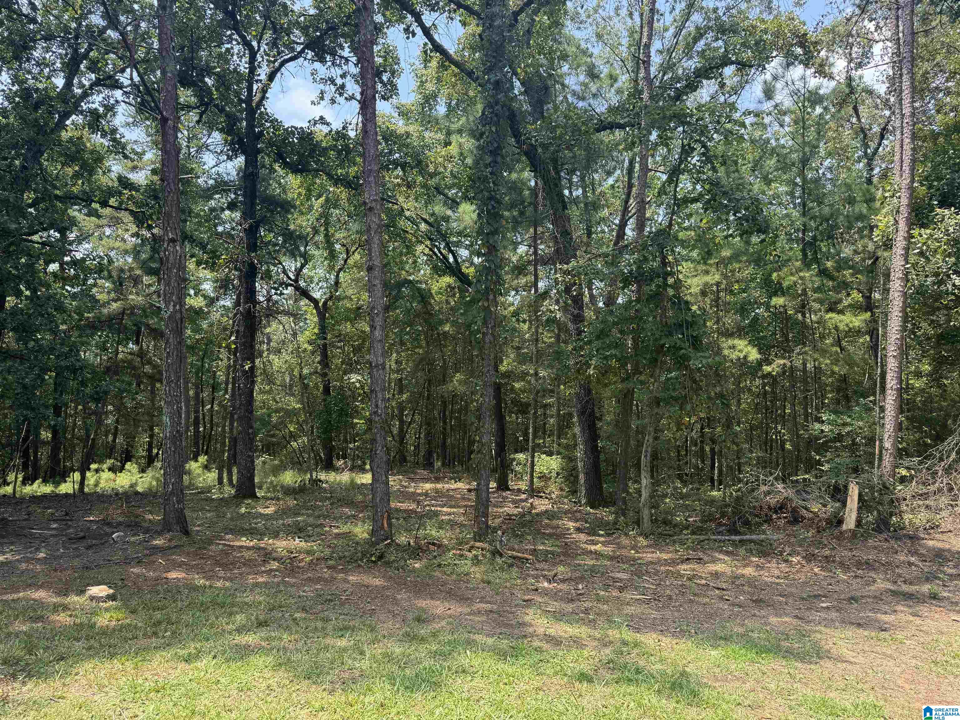 305 Stone Ridge Trail North Anniston, AL 36207 - Photo 40 of 72