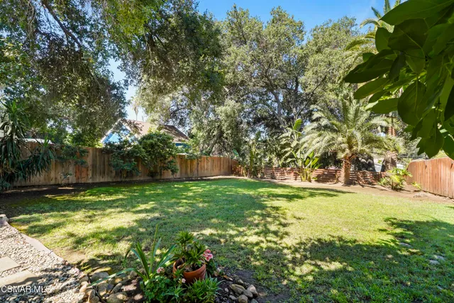 a view of a yard with a tree