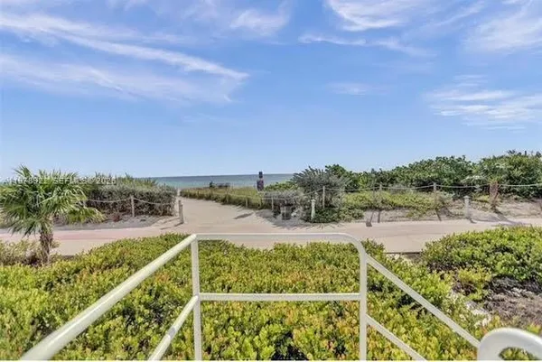 a view of a backyard with plants