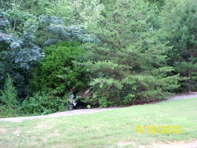 489 Helton Road Bremen, GA 30110 - Photo 1 of 1 a view of an outdoor space with a lake view