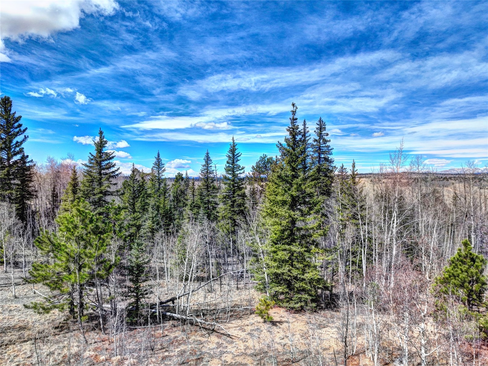 101 Patch Court Como, CO 80432 - Photo 11 of 23 a view of a yard