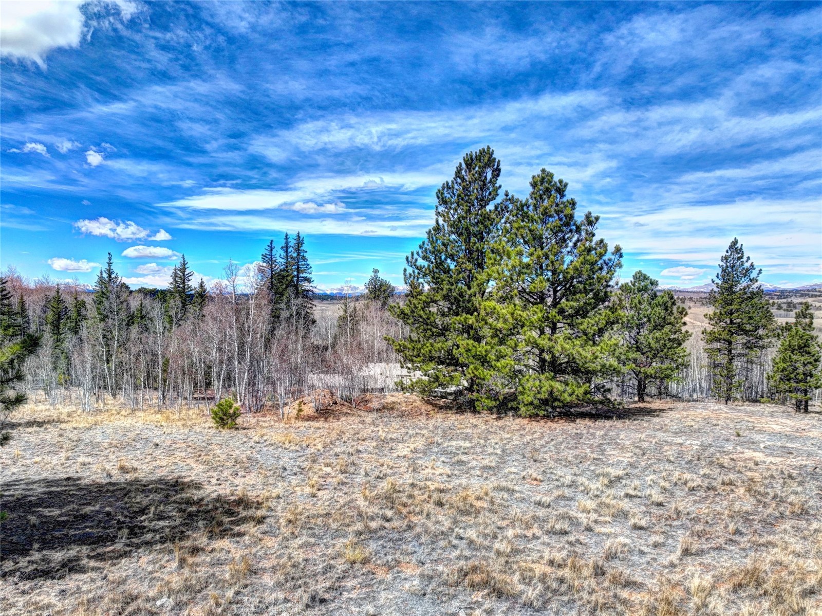 101 Patch Court Como, CO 80432 - Photo 7 of 23 a view of a yard with wooden fence