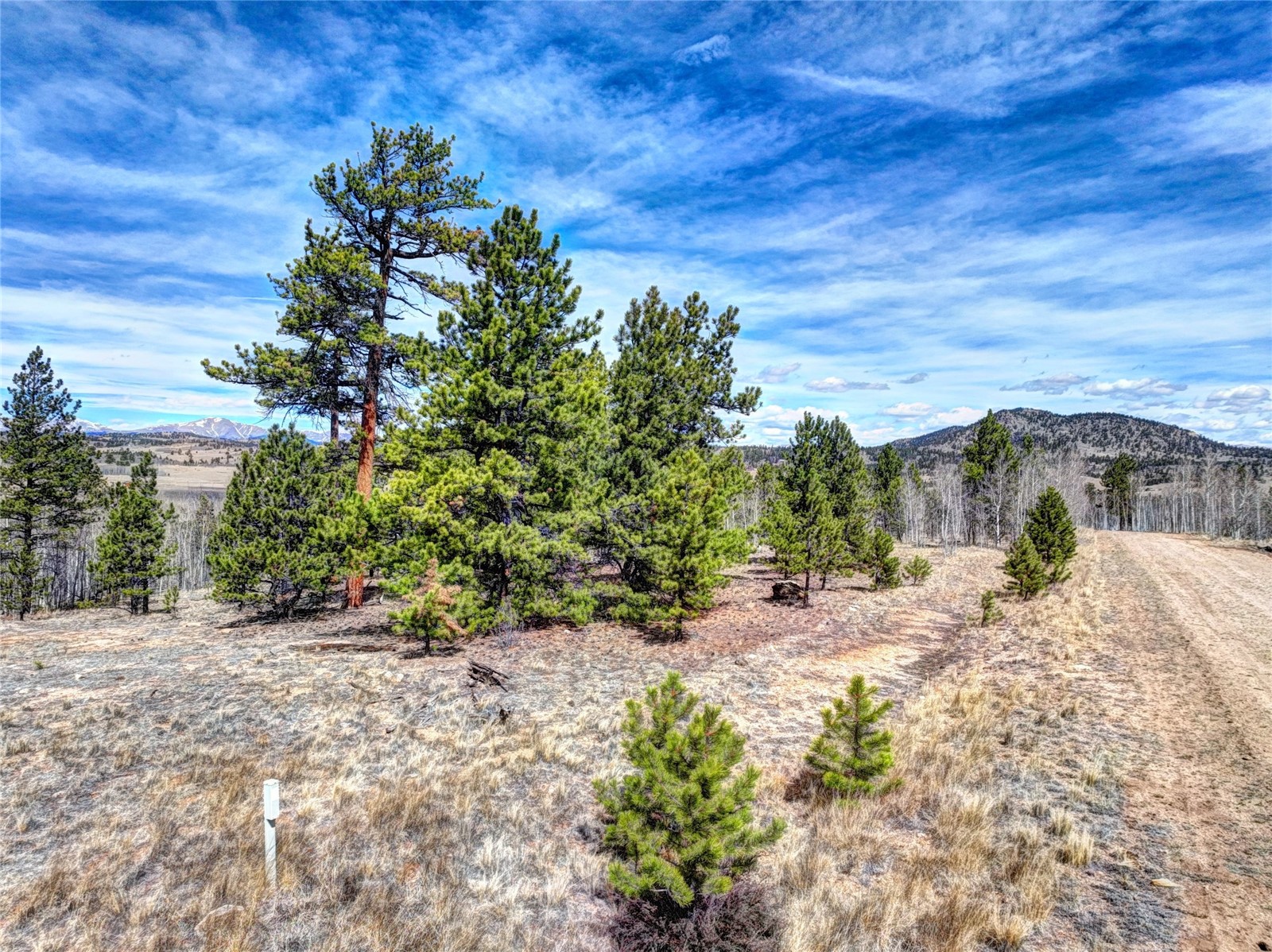 101 Patch Court Como, CO 80432 - Photo 8 of 23