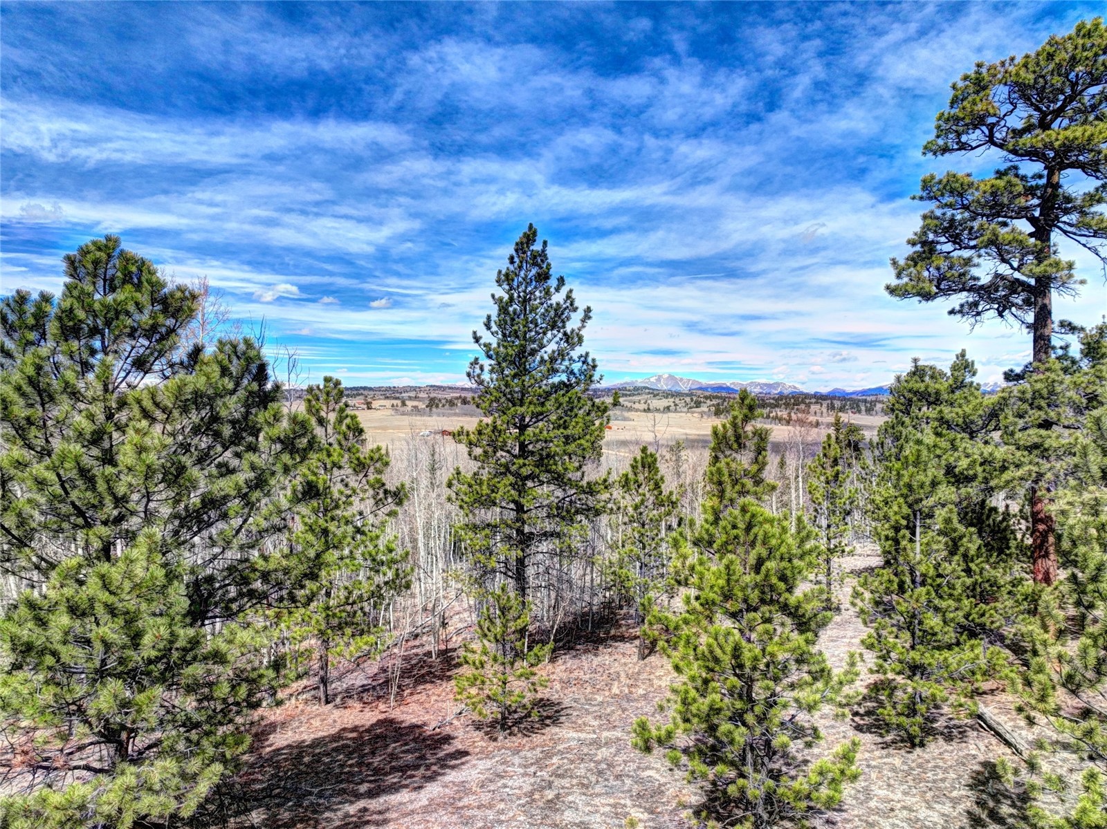 101 Patch Court Como, CO 80432 - Photo 9 of 23