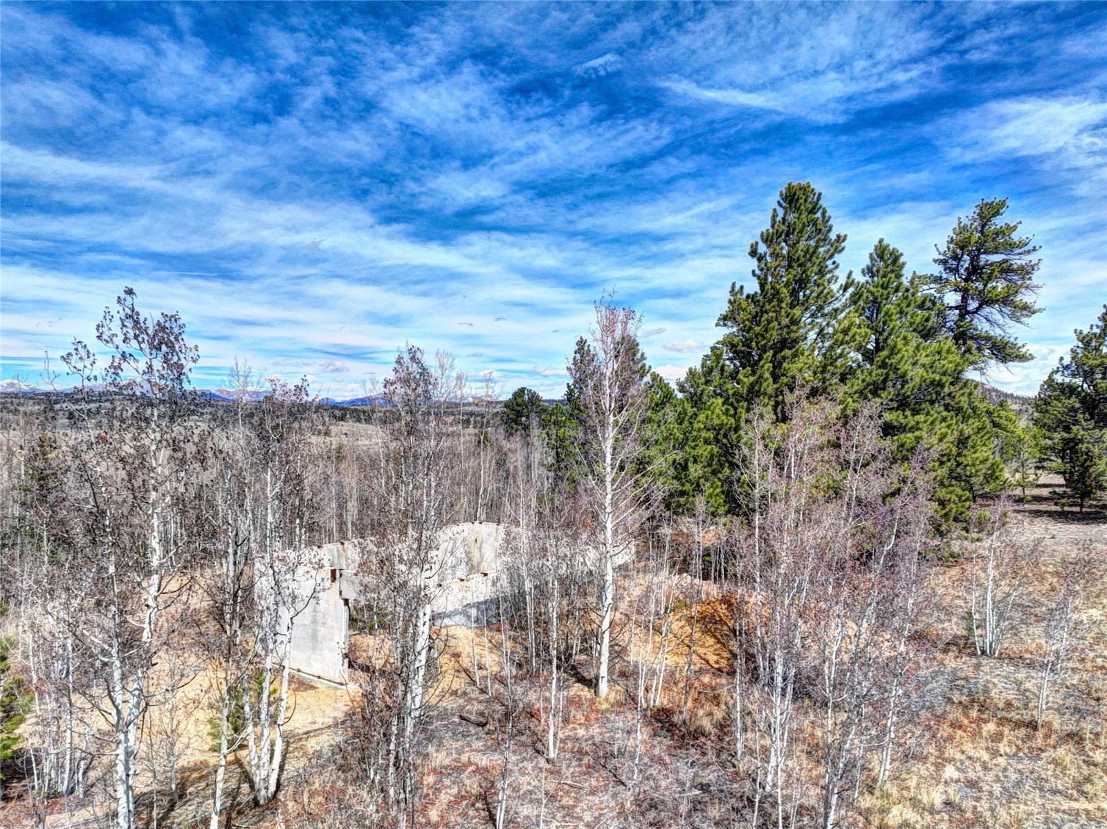 101 Patch Court Como, CO 80432 - Photo 10 of 23 a view of a yard
