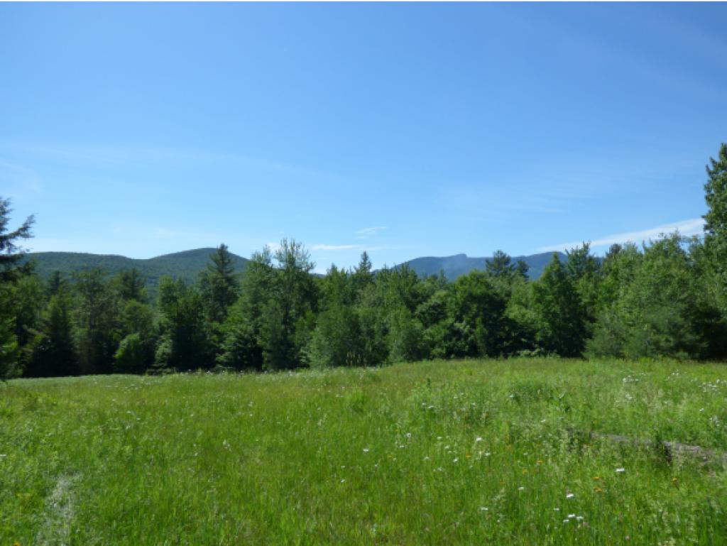 Lot#9 Grey Birch Road Stowe, VT 05672 - Photo 1 of 6 Gallery Image 1