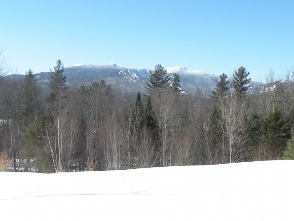 Lot#9 Grey Birch Road Stowe, VT 05672 - Photo 3 of 6 Gallery Image 3