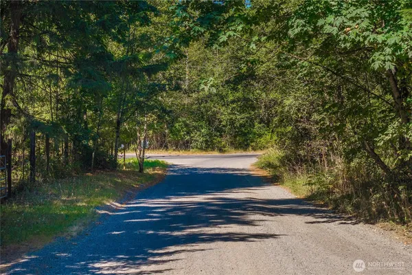 a view of backyard with green space