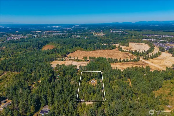 a view of a lake in middle of forest