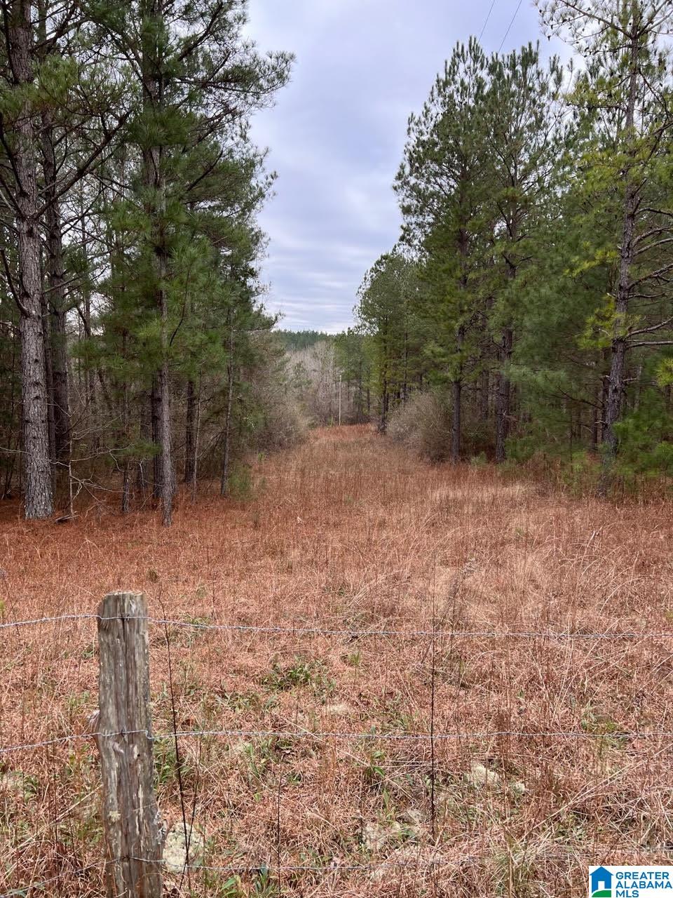 Plyers Mill Road, Unit 43 Alexander City, AL 35010 - Photo 18 of 27