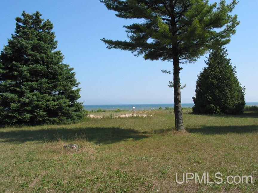 Tbd Thompson Trails Road, Unit PARCEL D Manistique, MI 49854 - Photo 5 of 13