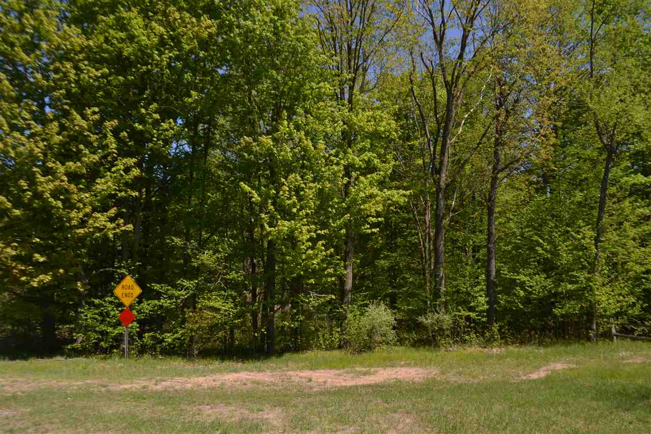 0 Stub Road Harrison, MI 48625 - Photo 1 of 15 Gallery Image 1