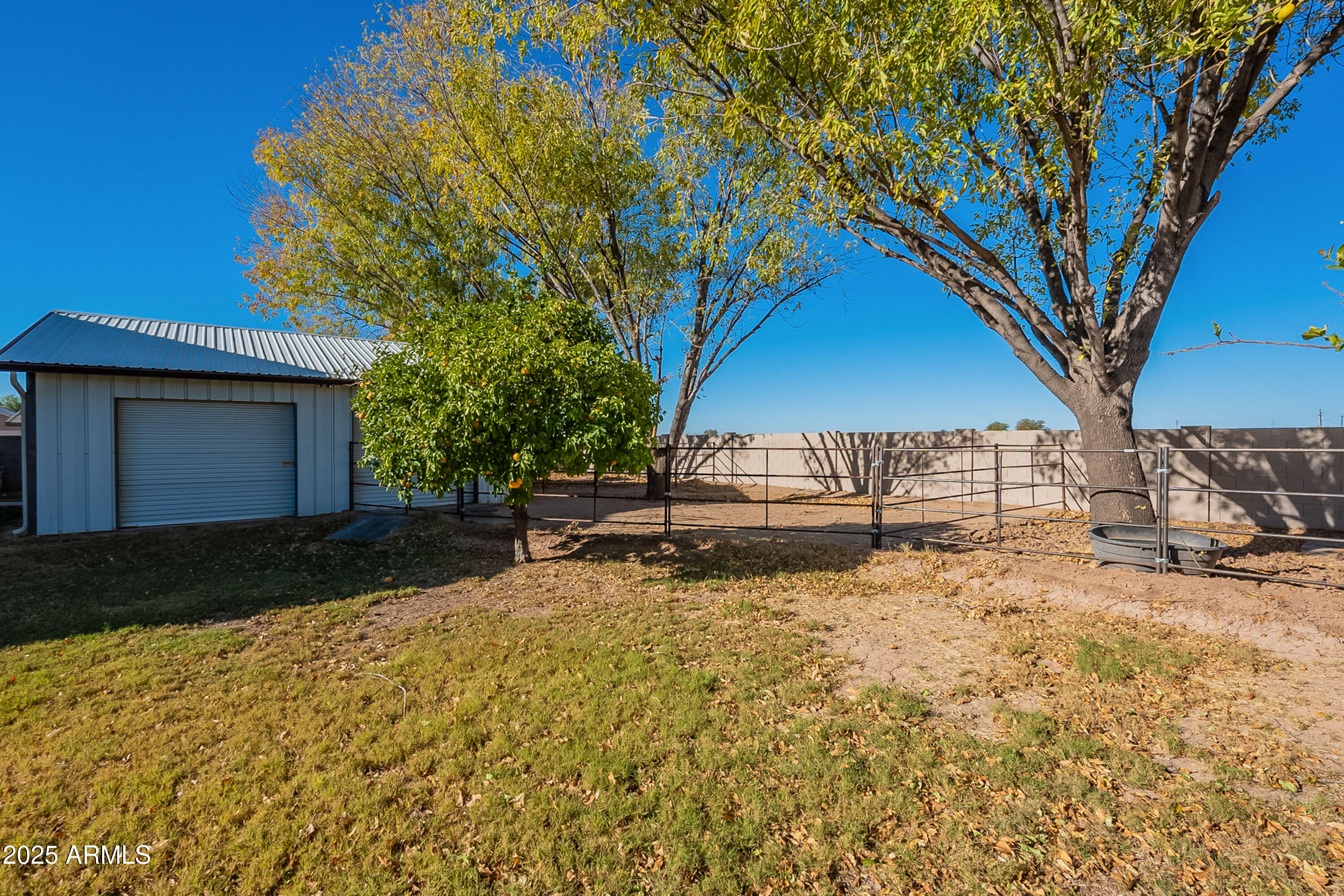 3464 North Ashbrook Mesa, AZ 85213 - Photo 48 of 63 a view of a yard with a tree