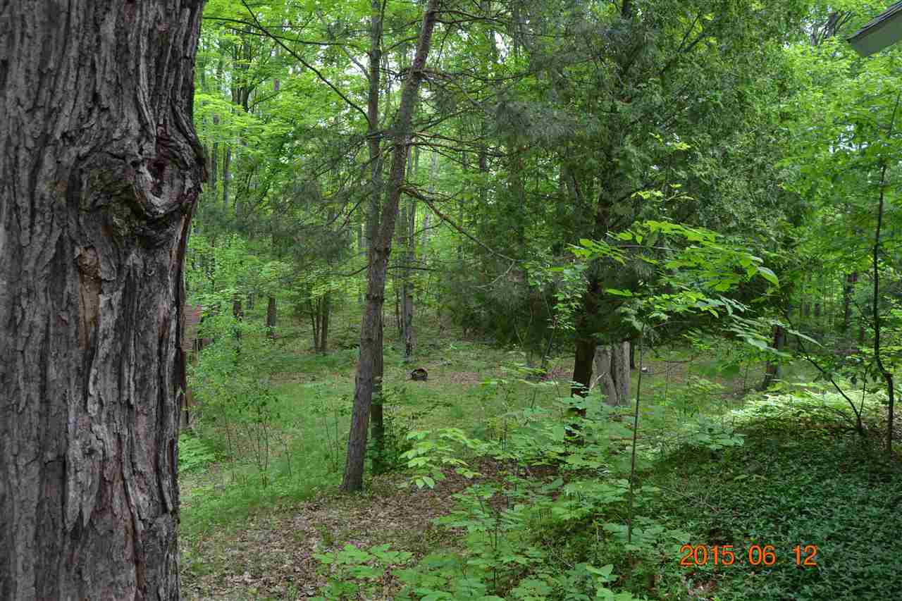 14640 Springdale Road Thompsonville, MI 49683 - Photo 6 of 36 1801564-6.JPG