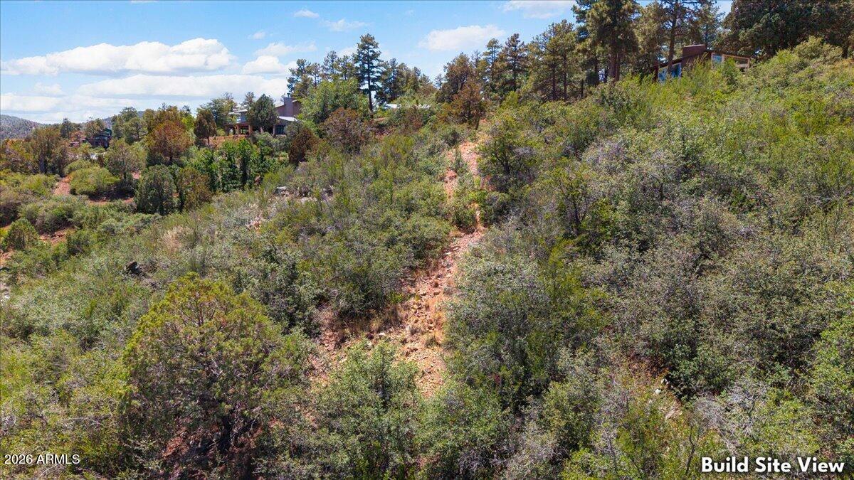 900 North Turkey Run Road, Unit 15 Prescott, AZ 86305 - Photo 7 of 17 a view of a forest with a houses