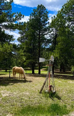 $885,000 | 34525 Forest Park Drive, Elizabeth, CO 80107