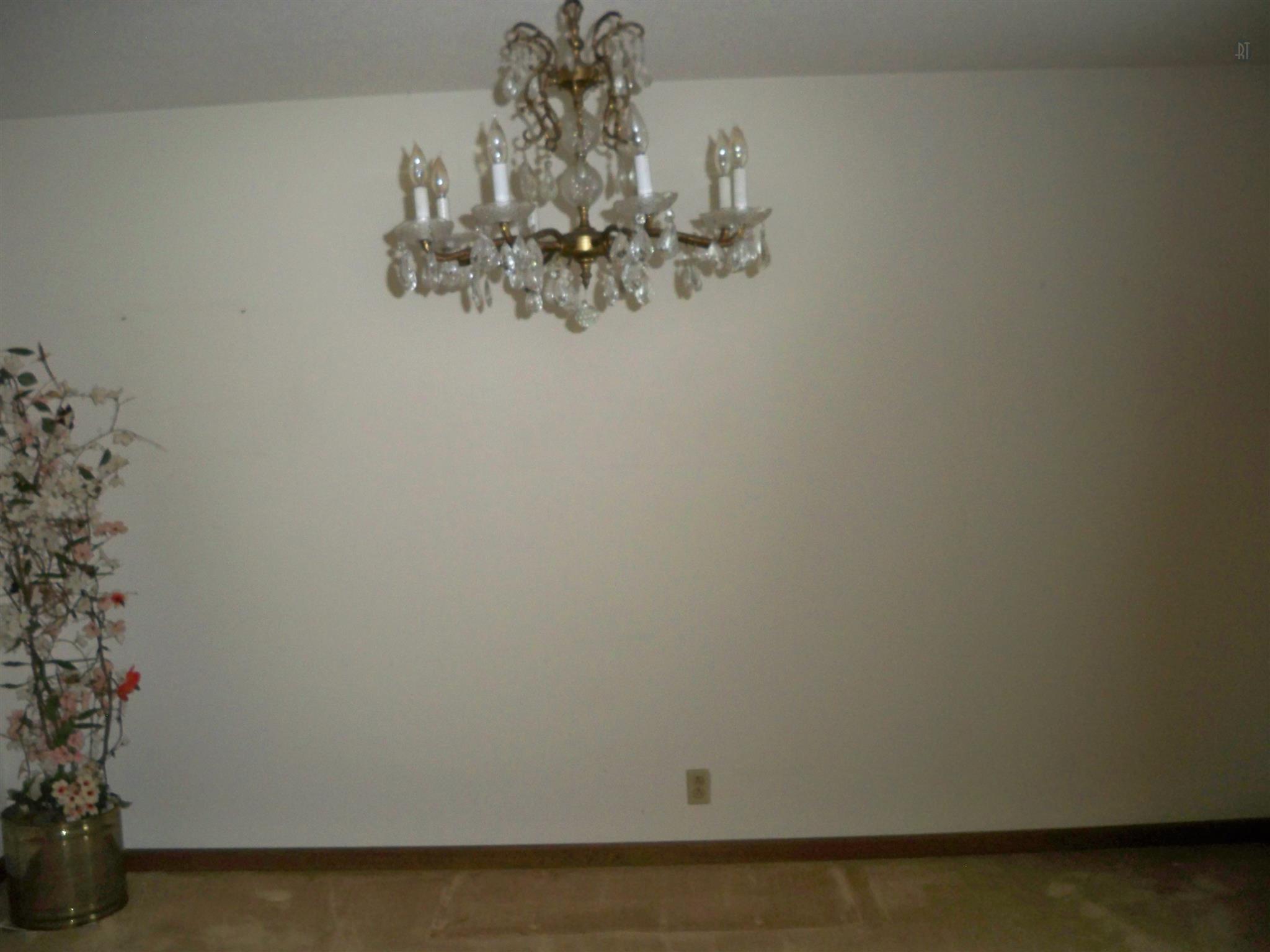561 Rucker Lane Murfreesboro, TN 37128 - Photo 8 of 11 Dining Room w/Crystal Chandelier