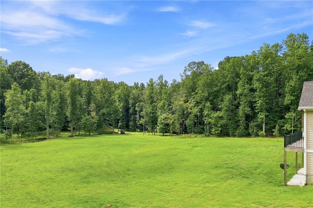 1782 Worley Road Ball Ground, GA 30107 - Photo 94 of 99 Gallery Image 94