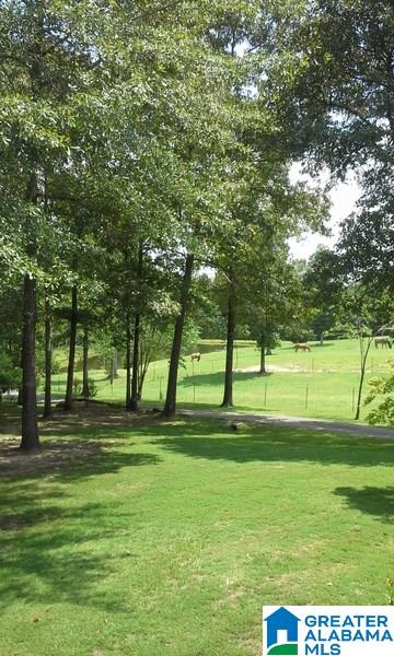 1059 Clay Pit Road Montevallo, AL 35115 - Photo 3 of 15