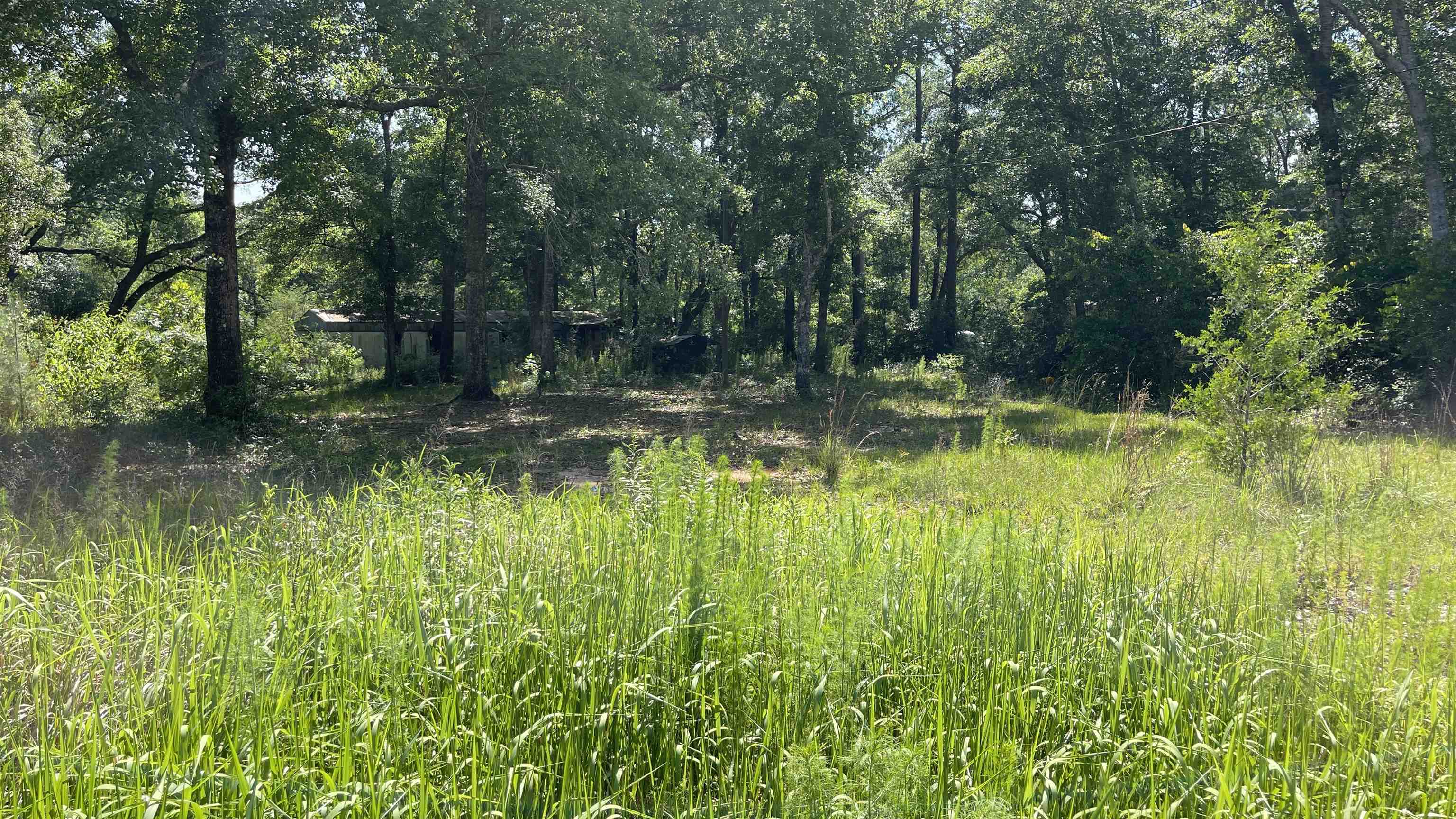 17627 Quail Lane Foley, AL 36535 - Photo 1 of 1