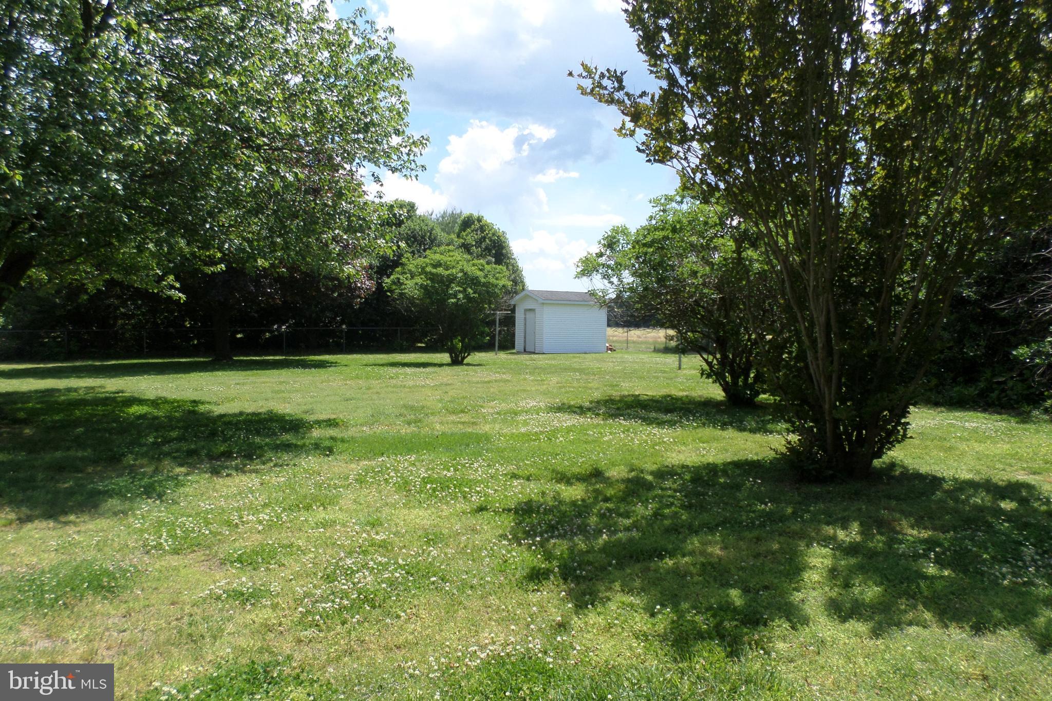 5418 Cannon Road Cambridge, MD 21613 - Photo 7 of 25 Barkyard