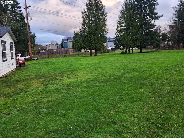 a view of a park with large trees