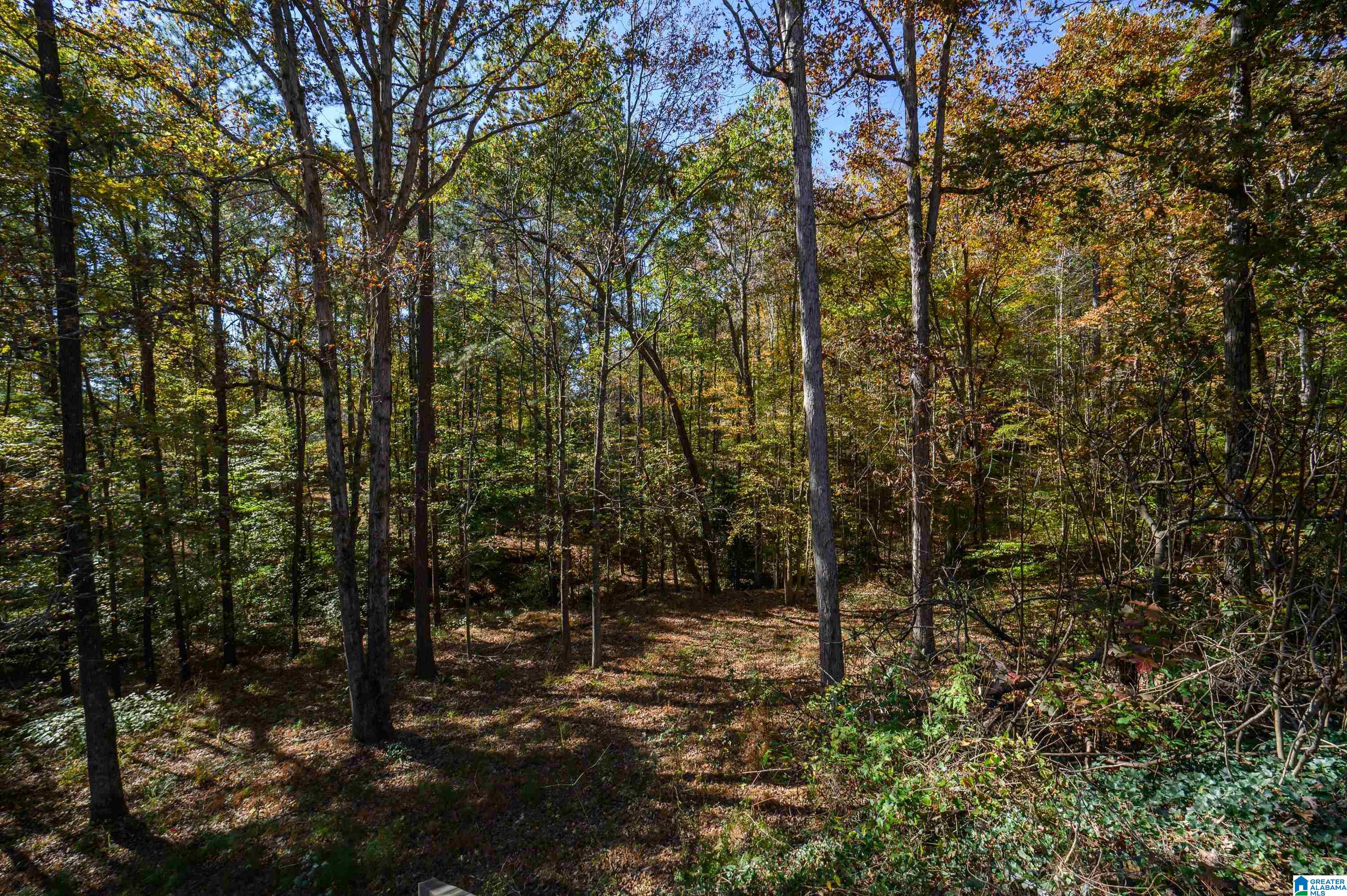 138 Overview Drive Sterrett, AL 35147 - Photo 65 of 66