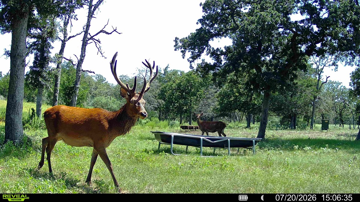 2524 Sandy Fork Road Harwood, TX 78632 - Photo 40 of 40