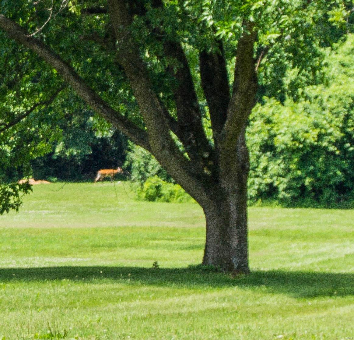 5829 Old Alton Road Granite City, IL 62040 - Photo 22 of 28 Gallery Image 22