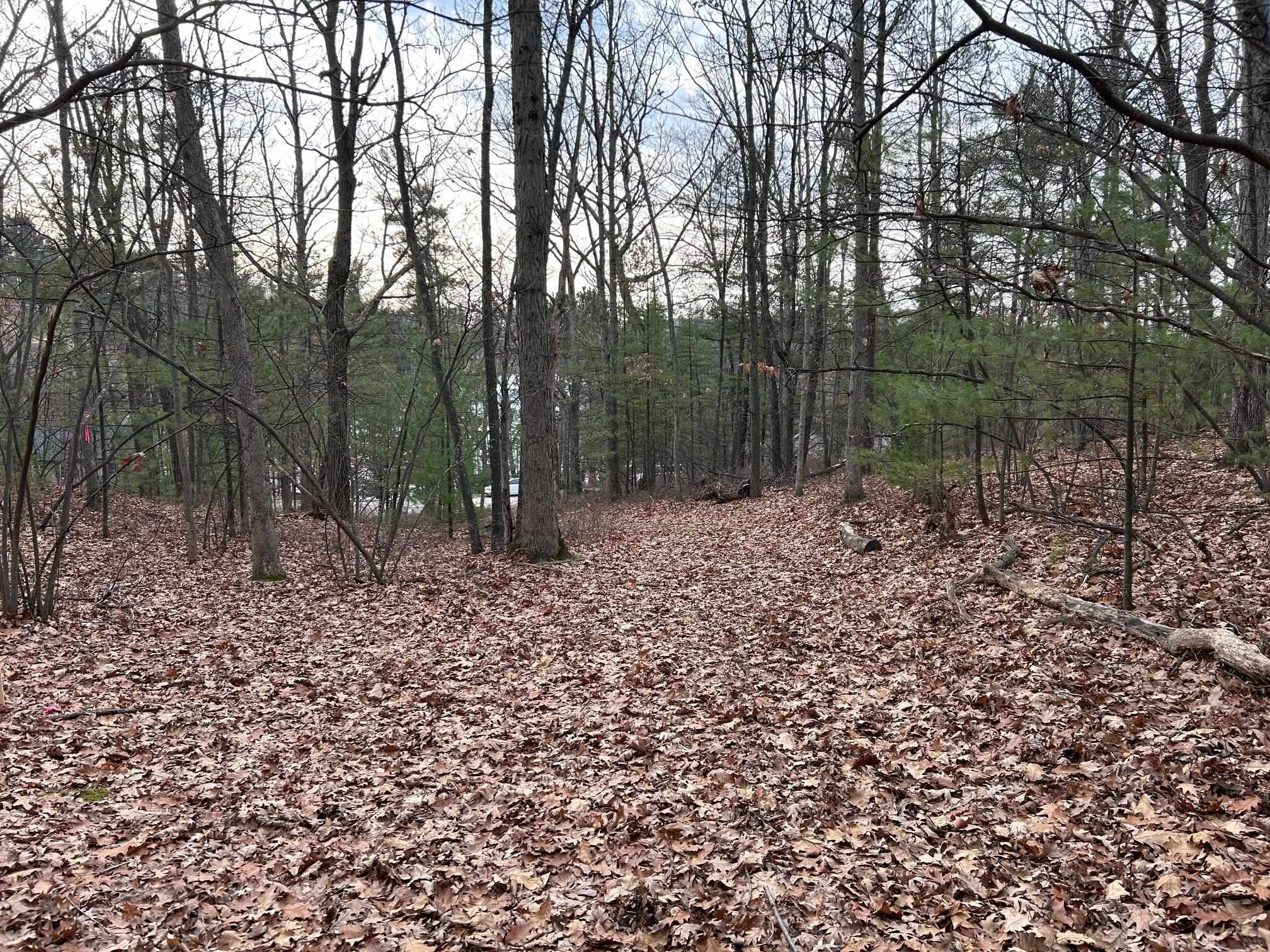 2971 Ridge Run Road Traverse City, MI 49686 - Photo 4 of 13