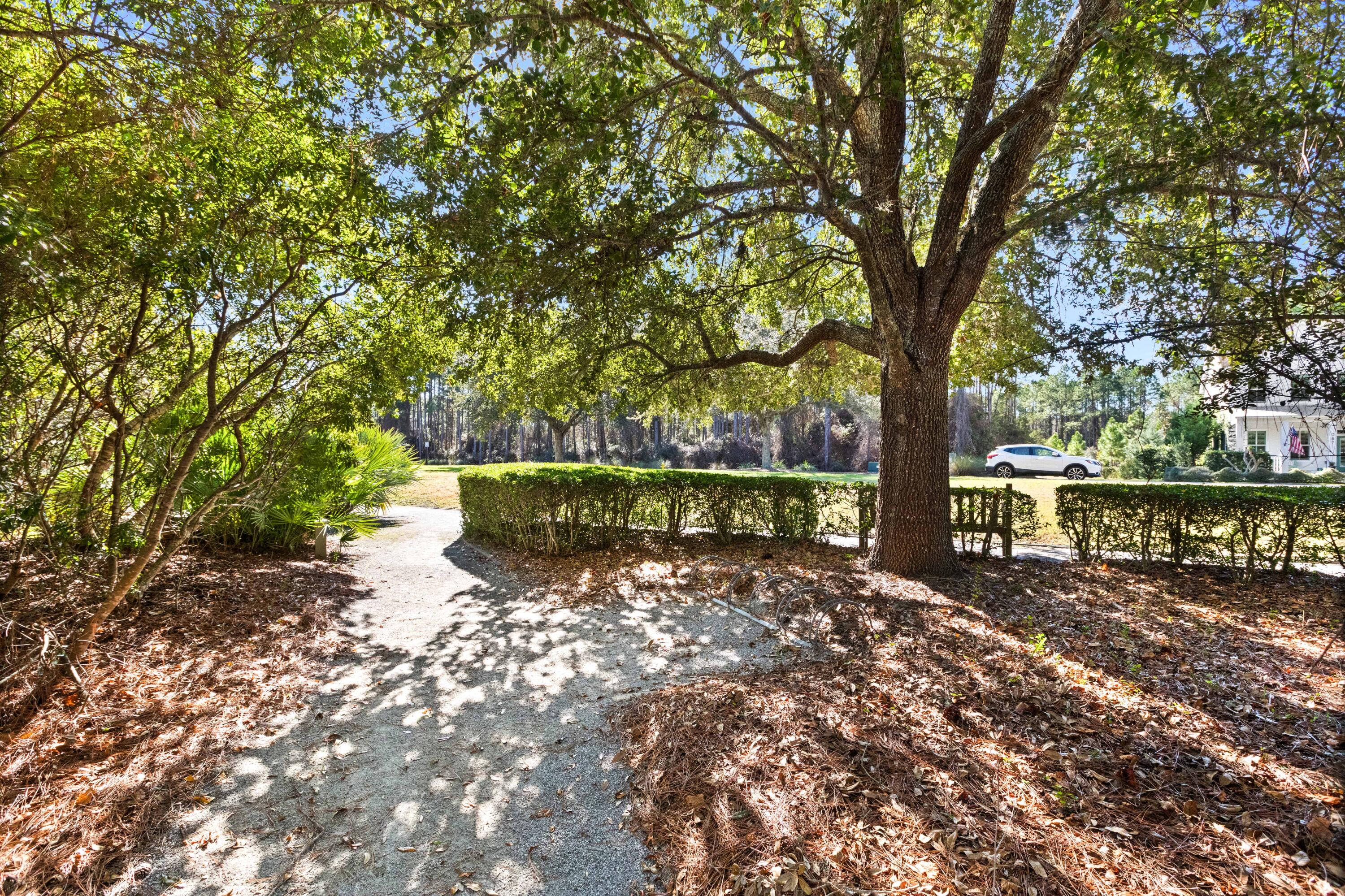 309 Jack Knife Drive Inlet Beach, FL 32461 - Photo 36 of 43 a view of a bench in a garden